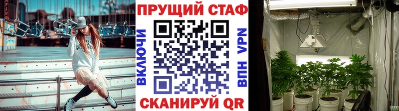 Купить Кетамин  Канабис  Cocaine  Меф  ГАШИШ  Медвежьегорск