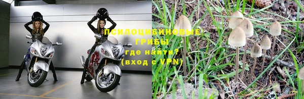 сатива Богородицк