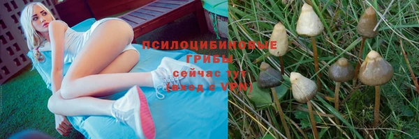 амфетамин Богданович