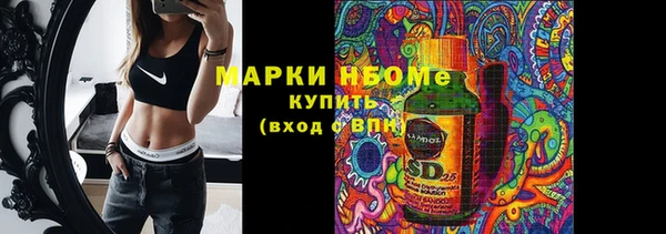 хмурый Богородск