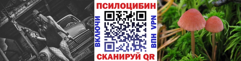 Купить где  Медвежьегорск  Галлюциногенные грибы MAGIC MUSHROOMS 